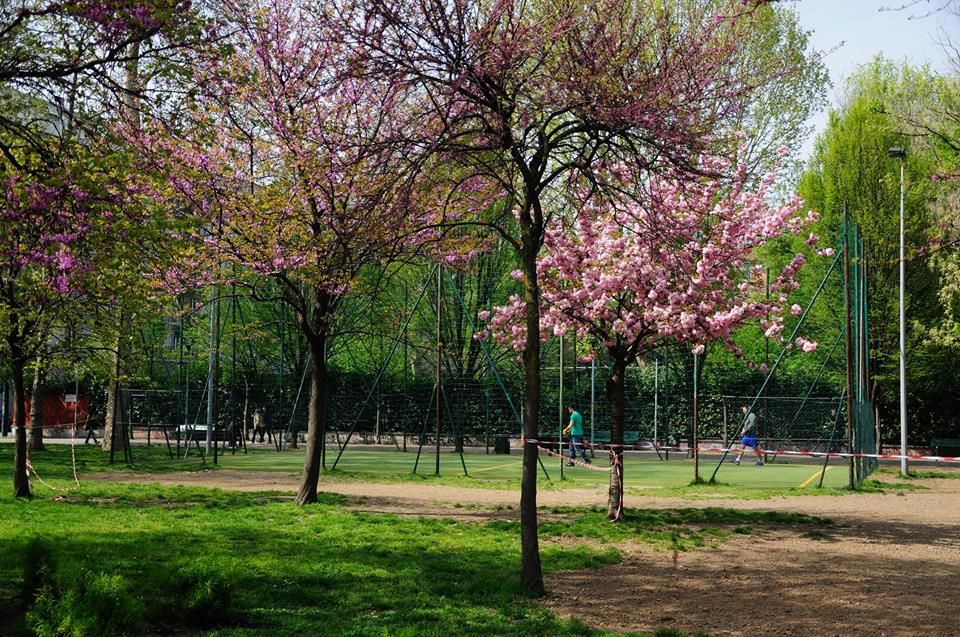 Calcio Solari